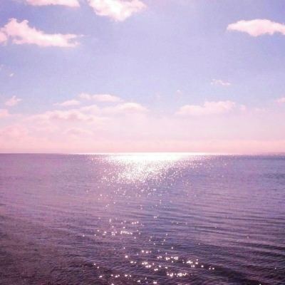 im电竞在线登录